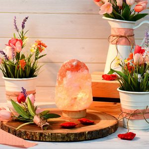 Salt Lamp
