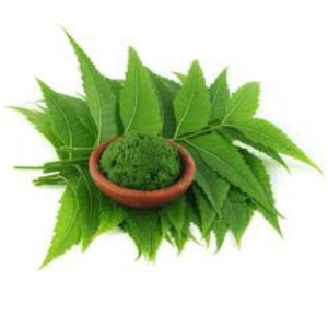 Neem powder 200gms