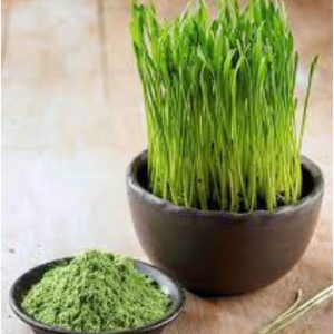 Wheat grass powder 200gms
