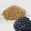 Jamun powder 200gms